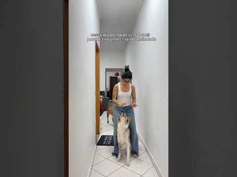 ❤️🩹❤️🩹❤️🩹 #pitbull #cachorros #rotina #familia #casal #relacionamento