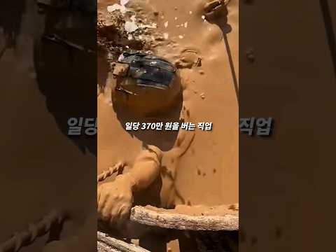 올라오면 300만원, 못 올라오면 3억 받는 직업 ㄷㄷ