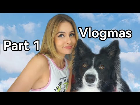 VLOGMAS 2023 Part 1 | Daily streamer's life, Korean makeup haul