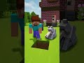 Understanding Video Structure and Content