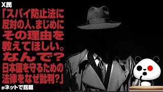 X民「スパイ防止法に反対の人、まじめにその理由を教えてほしい。なんで？日本国を守るための法律をなぜ批判？」が話題