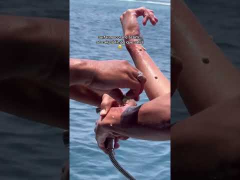 é tenso #limao #coral #viral #surf