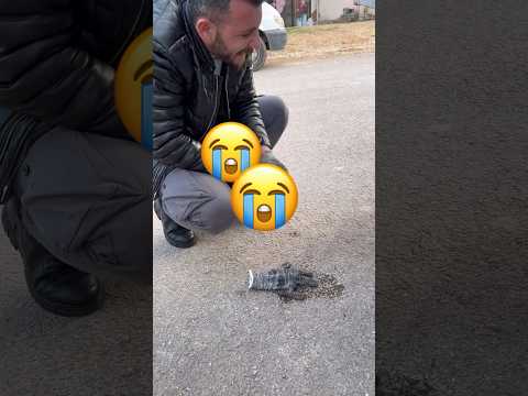 Kurtarmaya çalışırken parmağımı ısırdı 🥺 #shortvideo #keşfetbeniöneçıkar #shorts
