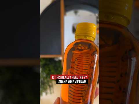 അടിച്ചു പാമ്പാവാൻ പാമ്പിൻ ? വൈൻ ?! Snake Wine Vietnam
