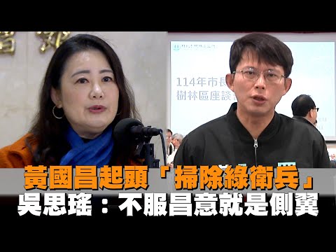 黃國昌起頭「掃除綠衛兵」　吳思瑤：不服昌意就是側翼