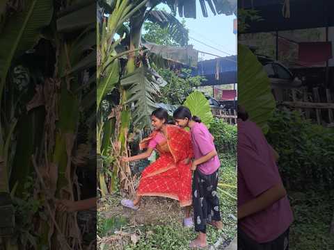 বিড়াল পোষার টেকনিক 🤣