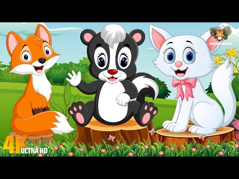 The World of Animal Sounds: Fox, Skunk, Cat, Stoat, Starling, Sloth, Rhino - Animal Videos