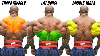 TOP 4 LAT MIDDLE BACK AND TRAPS WORKOUT AT GYM