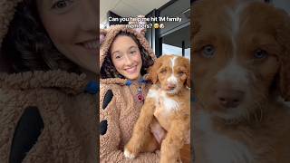 Can you help me hit 1M family members? 🥹🐶 #puppy