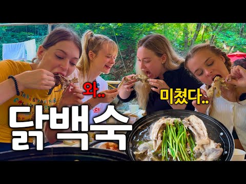 난생처음 한국 계곡에서 닭백숙을 먹은 독일여자들 반응