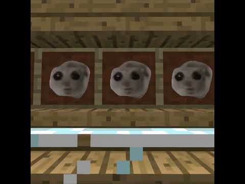 这是什么原理？#sadhamster #minecraft #shorts