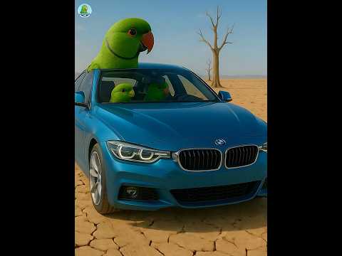 parrots brought a new BMW car with 20000$ 😱