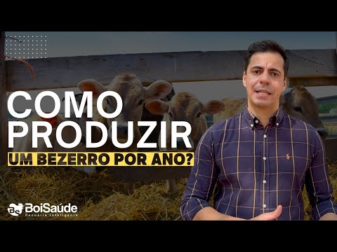 COMO PRODUZIR UM BEZERRO POR ANO?