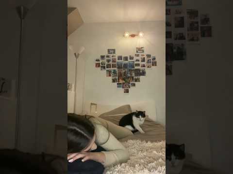 Crying in front of my cat to see her reaction 😭 #cats #shorts