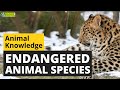 Environmental Awareness and Conservation Issues