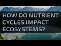 Nutrient Cycling and Ecosystem Dynamics