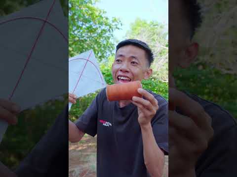 VÁC DIỀU PHƯỢNG HOÀNG ĐI ĐẤU VS DIỀU SÁO BỊ MẸ ĐÁNH