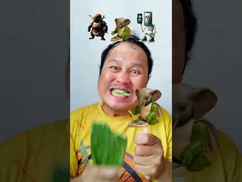 menurut kalian lagu Anomali versi Arab ini enak ga #shorts