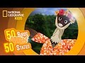 Discovering Hawaii's Unique Wildlife and History