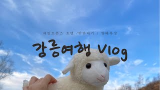 [강릉 Vlog] : 안반데기, 세인트존스 호텔, 양떼목장, 도깨비 촬영지