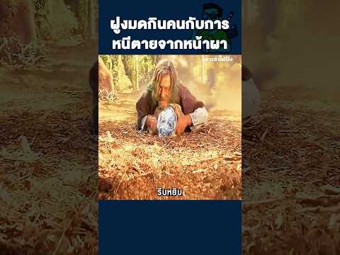 ฝูงมดกินคนกับการหนีตายจากหน้าผา #shorts  #movie #สปอยหนัง