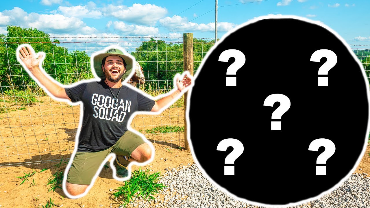 I Bought the MEANEST Animal at the AUCTION for My BACKYARD FARM! (Bad Idea)