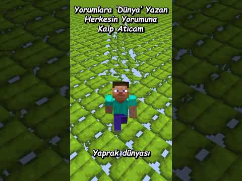 Minecraft AMA Dünyamı Kontrol Ediyorsunuz 🌍