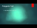 Genetics and Inheritance Concepts