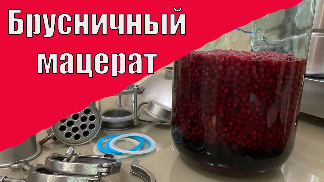 Рецепт брусничного мацерата, все тонкости приготовления мацерата от А до Я. (LUXSTAHL 8M