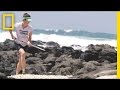 Hawaiian Monk Seal Vaccination Program