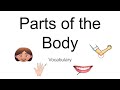 Human Body Parts and Functions