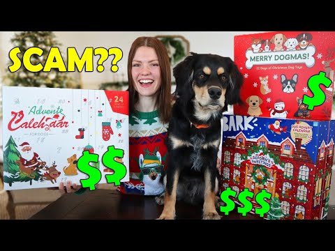 Are These Dog Advent Calendars Worth the $$$?