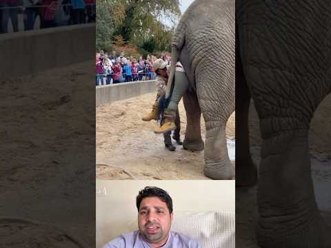 💨 पाद ने बचा ली जान