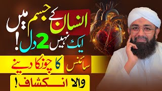 Humans Have 2 Hearts? 🫀 (SHOCKING) | Exercises For Heart Health | Facts About Heart | Soban Attari