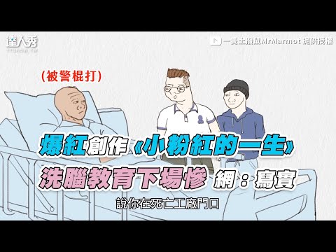 【爆紅創作《小粉紅的一生》洗腦教育下場慘 網：寫實 】 ｜ @MrMarmot8