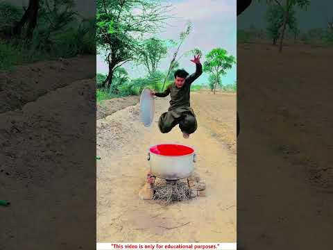 Building Wooden Log Cabin in Forest 🎄🎈 | Survival House Step by Step "9 #shorts #facts