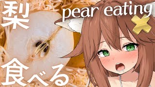 【咀嚼音ASMR】梨食べる🍏おなかの音 pear/eating sound/drinking/whispering/sniff