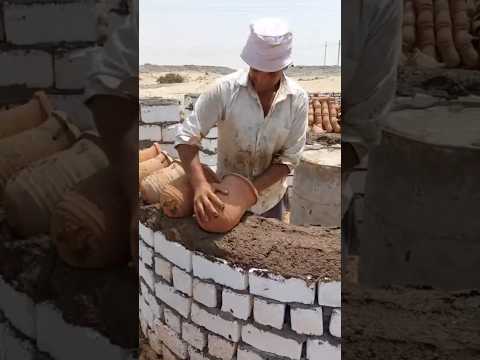 আরবরা কেন কবুতরের জন্য মাটির হাঁড়ি দিয়ে ঘর বানায় | Pigeon House