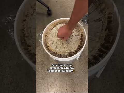 What is the white color on top of honey #shortvideo