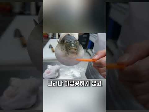 복어의 최후의 만찬