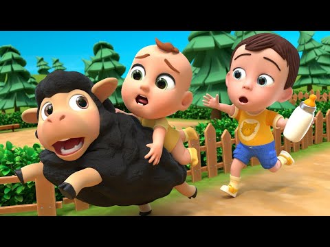 Baa Baa Black Sheep Song + MORE Baby Animals Nursery Rhymes & Kids Songs \ LIA CHA CHA