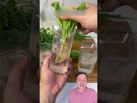 aprende este truco para ahorrar en casa