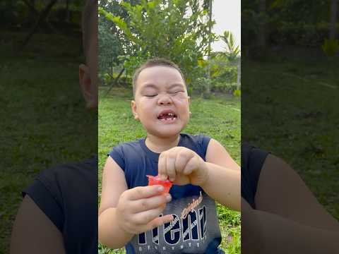 WOW! Ý tưởng THÔNG MINH và RẤT HỮU ÍCH 🍮 #camping #survival #bushcraft #outdoors #lifehack