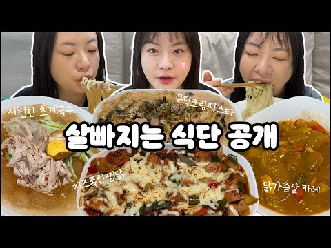 살빠지는 속세의 맛 식단 공개, 치즈폭탄찜닭, 꾸덕크림파스타, 초계국수, 닭가슴살 카레, 닭가슴살 다이어트, 다이어트 레시피,맛있는 다이어트 식단,지속 가능 다이어트 MUKBANG