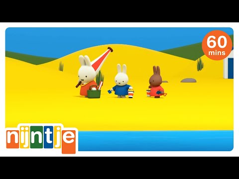 Nijntje aan zee! | Nijntje | Het beste van Nijntje