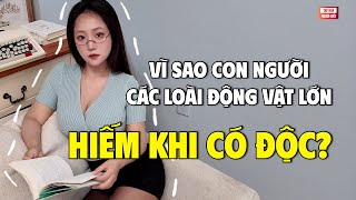Tại sao con người, hay động vật lớn, hiếm khi có độc ? | THKT 038