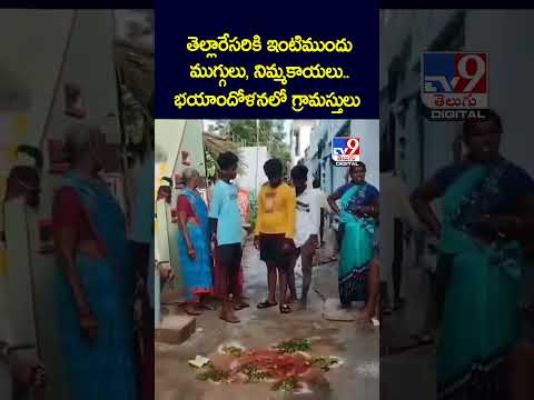 తెల్లారేసరికి ఇంటిముందు ముగ్గులు, నిమ్మకాయలు..భయాందోళనలో గ్రామస్తులు - TV9