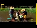 Arapaima Conservation and Research Insights