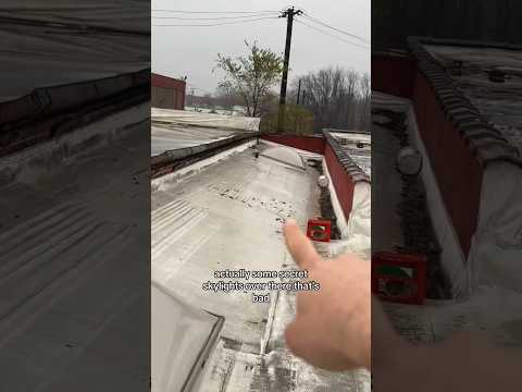 I bought a car factory: Battling the roof