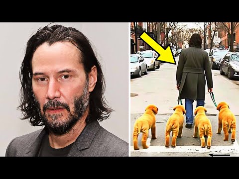 Staff Dump 6 Puppies Out Of Shelter... They Turn Pale When Keanu Reeves Shows Up To Take Action